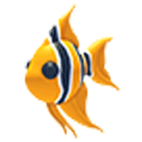 Angelfish - Common from Jungle Update 2023